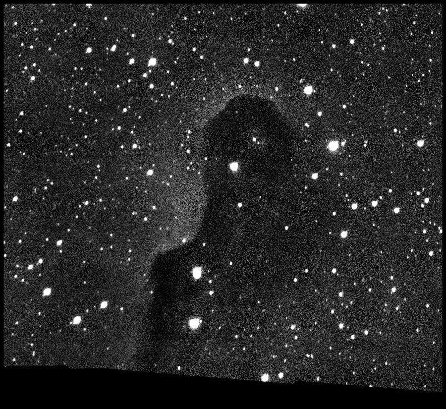 Grünkanal: fast nur die dunkle Silhouette